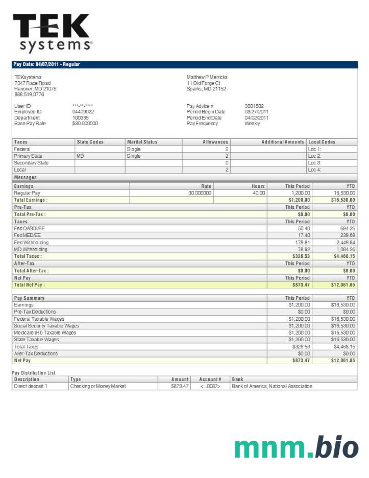 TEKsystems pay stub template in Word and PDF formats, 2